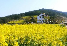 [KTX]청산도*완도*해남 대흥사 1박2일(청산도 내 숙박)