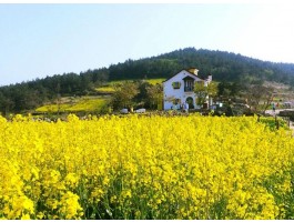 [KTX]청산도*완도*해남 대흥사 1박2일(청산도 내 숙박)