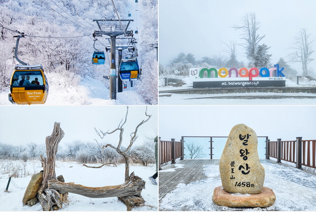 KTX- 발왕산 케이블카 & 겨울바다ㆍ묵호항/정동진 기차여행 (당일)