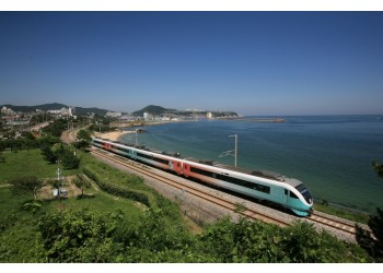 KTX/ITX- 정동진아침바다ㆍ동해산타열차 & 하이원 곤돌라 기차여행(당일) 12월~
