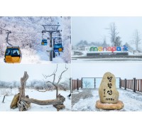 KTX- 발왕산 케이블카 & 겨울바다ㆍ묵호항/정동진 기차여행 (당일)