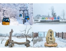 KTX- 발왕산 케이블카 & 겨울바다ㆍ묵호항/정동진 기차여행 (당일)