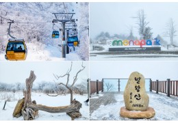 KTX- 발왕산 케이블카 & 겨울바다ㆍ묵호항/정동진 기차여행 (당일)