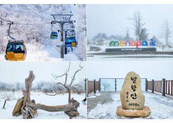 KTX- 발왕산 케이블카 & 겨울바다ㆍ묵호항/정동진 기차여행 (당일)