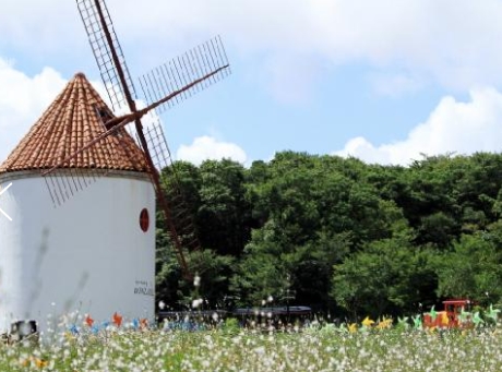 항공 - 놀멍 쉬멍 섬투어!! 차귀도 & 에코랜드 여행(2박3일)