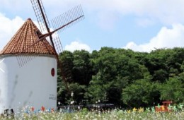 항공 - 놀멍 쉬멍 섬투어!! 차귀도 & 에코랜드 여행(2박3일)