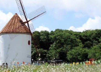 항공 - 놀멍 쉬멍 섬투어!! 차귀도 & 에코랜드 여행(2박3일)