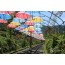 ◆가을맞이◆[KTX-당일]오감만족 청도:미나리삼겹살/와인터널/레일바이크