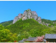 2026 추석 버스 #3 경북*강원 2박3일(안동*주왕산*영덕*울진바다*설악산)_28인승 리무진버스
