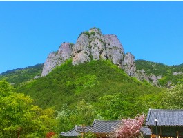 2026 추석 버스 #3 경북*강원 2박3일(안동*주왕산*영덕*울진바다*설악산)_28인승 리무진버스