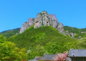 2026 추석 버스 #3 경북*강원 2박3일(안동*주왕산*영덕*울진바다*설악산)_28인승 리무진버스