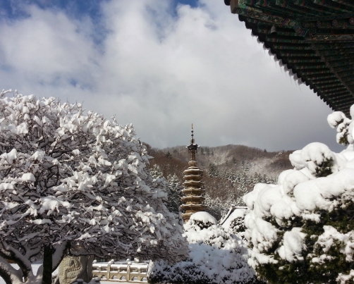 [KTX이음] 강릉 겨울바다 & 아르떼 뮤지엄 & 월정사 눈꽃 기차여행 (당일)