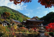 [KTX] 세계문화유산의 역사와 미식의 도시! 영주 하루 기차여행 (부산출발)