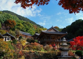 [KTX] 세계문화유산의 역사와 미식의 도시! 영주 하루 기차여행 (부산출발)