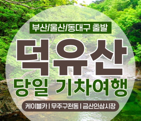 (동대구역출발)KTX - 덕유산 향적봉(정상) & 관광 곤도라 & 무주구천동계곡 여행(당일)