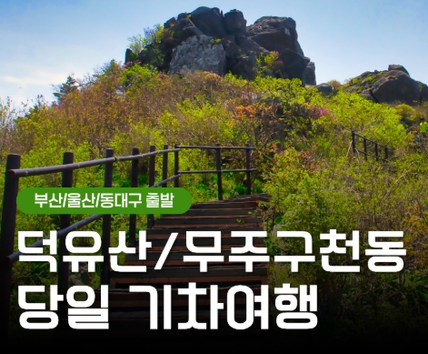 (동대구역출발)KTX - 덕유산 향적봉(정상) & 관광 곤도라 & 무주구천동계곡 여행(당일)