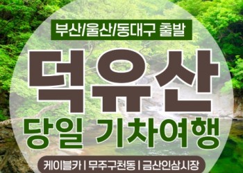 (동대구역출발)KTX - 덕유산 향적봉(정상) & 관광 곤도라 & 무주구천동계곡 여행(당일)
