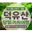(동대구역출발)KTX - 덕유산 향적봉(정상) & 관광 곤도라 & 무주구천동계곡 여행(당일)
