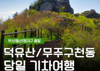 (동대구역출발)KTX - 덕유산 향적봉(정상) & 관광 곤도라 & 무주구천동계곡 여행(당일)