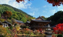 [KTX이음/ITX마음] 세계문화유산의 역사와 미식의 도시! 영주 하루 기차여행 (서울출발)