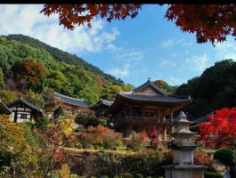 [KTX이음/ITX마음] 세계문화유산의 역사와 미식의 도시! 영주 하루 기차여행 (서울출발)