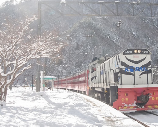 [KTX이음] 정선 만항재 눈꽃 & 백두대간 협곡열차 겨울 기차여행 (서울출발)