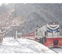 [KTX이음] 정선 만항재 눈꽃 & 백두대간 협곡열차 겨울 기차여행 (서울출발)
