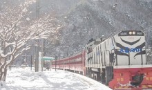 [KTX이음] 정선 만항재 눈꽃 & 백두대간 협곡열차 겨울 기차여행 (서울출발)
