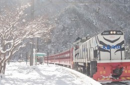 [KTX이음] 정선 만항재 눈꽃 & 백두대간 협곡열차 겨울 기차여행 (서울출발)