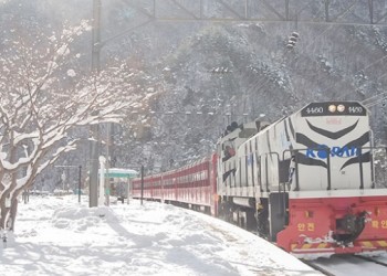 [KTX이음] 정선 만항재 눈꽃 & 백두대간 협곡열차 겨울 기차여행 (서울출발)