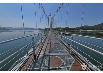 [KTX/새마을] 논산 관촉사 벚꽃 & 탑정호 봄꽃 하루 기차여행 (당일)