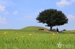 ◆가을맞이◆[KTX-당일]떠나자 피크닉! 함안 악양생태공원 핑크뮬리+말이산고분군