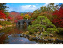◆가을맞이◆[KTX-당일]경주 통일전 은행나무길/불국사 애기단풍