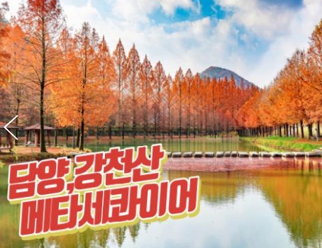 [동대구역출발] KTX - 강천산 구름다리 가을단풍 & 담양죽녹원 & 메타세콰이어 여행(당일)