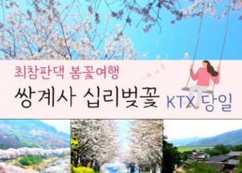 (동대구역출발) KTX - 환상의 쌍계사 십리벚꽃*화개장터 & 최참판댁 봄꽃여행(당일)