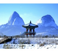 [KTX] 진안 마이산탑사 눈꽃& 홍삼족욕 힐링 하루 기차여행(당일)