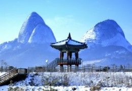 [KTX] 진안 마이산탑사 눈꽃& 홍삼족욕 힐링 하루 기차여행(당일)