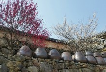 KTX- 광양 매화마을 & 남원 명소 기차여행(당일)