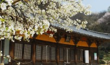 [KTX 이음] 영주 세계문화유산 & 한우 미식탐방 하루 기차여행(부산출발)