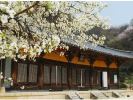 [KTX 이음] 영주 세계문화유산 & 한우 미식탐방 하루 기차여행(부산출발)