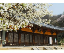 [KTX 이음] 영주 세계문화유산 & 한우 미식탐방 하루 기차여행(부산출발)