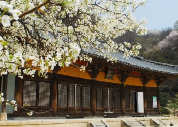 [KTX 이음] 영주 세계문화유산 & 한우 미식탐방 하루 기차여행(부산출발)