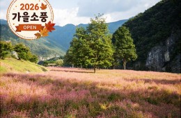 ◆가을맞이◆[KTX-당일]영월 동강 꽃길, 삼굿 한 입, 부석사 한 걸음