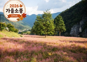 ◆가을맞이◆[KTX-당일]영월 동강 꽃길, 삼굿 한 입, 부석사 한 걸음