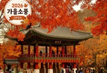 ◆가을맞이◆[KTX-당일]천년 고찰 백양사와 물멍 꽃멍 황룡강/장성호