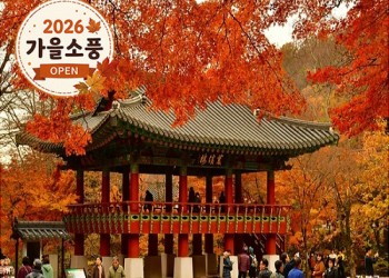 ◆가을맞이◆[KTX-당일]천년 고찰 백양사와 물멍 꽃멍 황룡강/장성호