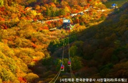 ◆가을맞이◆[KTX정읍-당일]조선8경 오색단풍명소 일번지, 내장산
