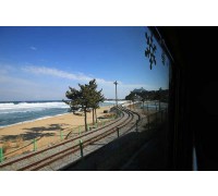 [KTX-당일]바다 곁을 달리는 해안선열차와 바다부채길+묵호+강릉중앙시장
