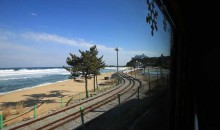 [KTX-당일]바다 곁을 달리는 해안선열차와 바다부채길+묵호+강릉중앙시장