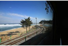 [KTX-당일]바다 곁을 달리는 해안선열차와 바다부채길+묵호+강릉중앙시장